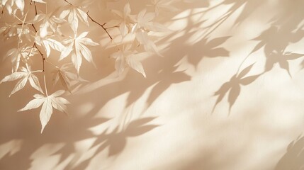 Shadows of maple leaves cast on a beige wall with a trendy minimal overlay effect bathed in sunlight Ideal for a neutral autumn design concept