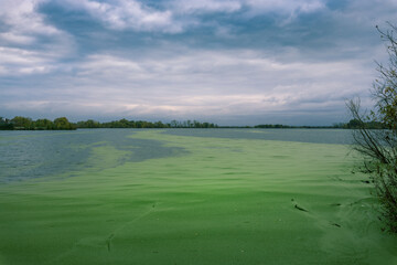 A lake with a greenish tint and a cloudy sky