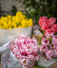 Bouquet of pink and yellow tulips are displayed in a white bag