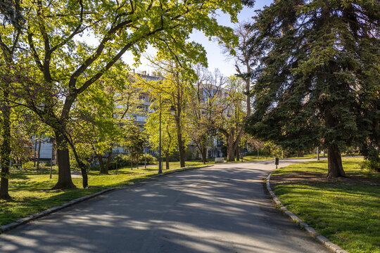 Street with a sidewalk and trees on both sides