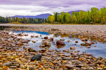 Autumn foliage along the Flathead River in northwest Montana