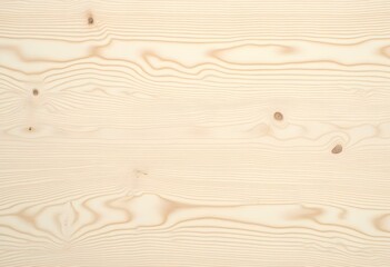 wood texture, top view. light wood background. natural pattern on a wooden surface