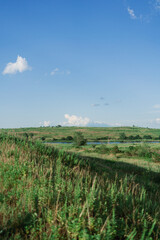 Fototapeta premium landscape