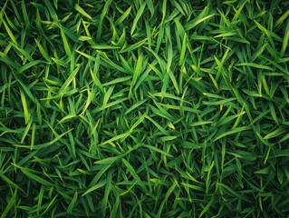 Fototapeta premium Minimalist Grass Background.AI Generation