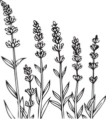 set of plants, The flowers are arranged in a row and are of various sizes, floral illustration in vintage style design