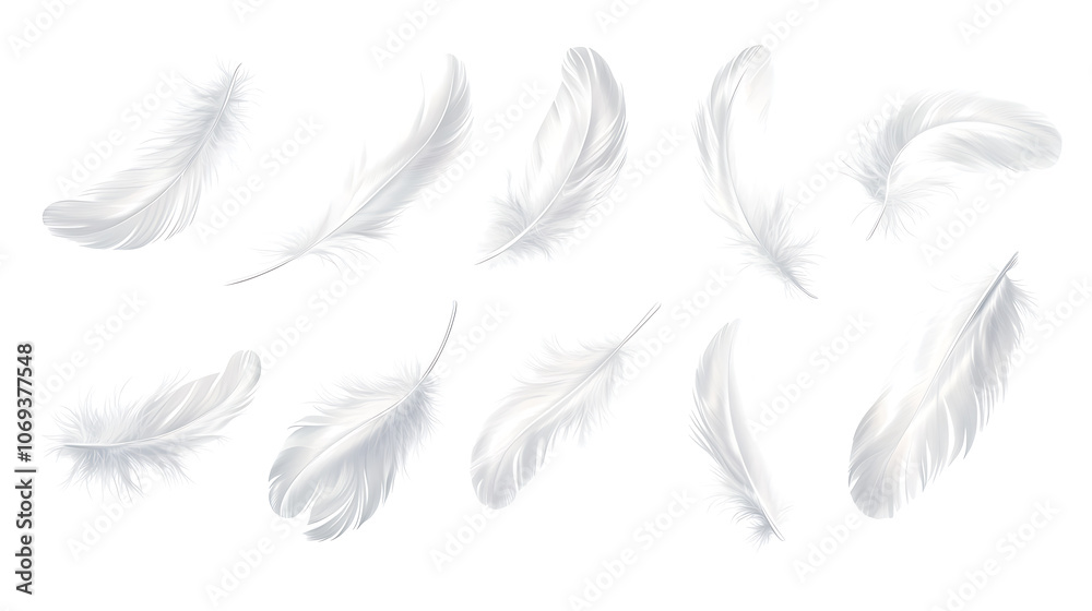 Poster vector white feathers collection, set of different falling fluffy twirled feathers, isolated on whit