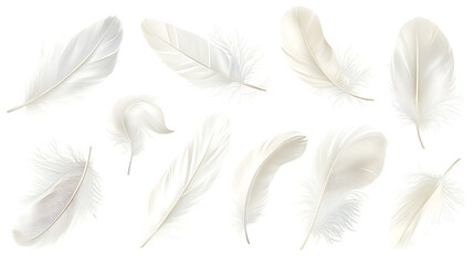 Vector white feathers collection, set of different falling fluffy twirled feathers, isolated on white background, Realistic style, vector 3d illustration