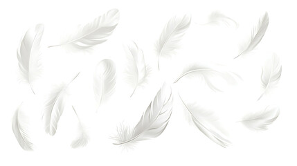 Vector white feathers collection, set of different falling fluffy twirled feathers, isolated on white background, Realistic style, vector 3d illustration