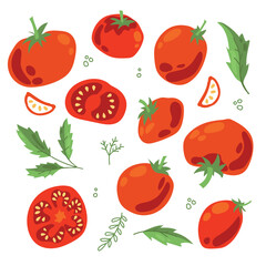 Set of ripe tomatoes. Vegetables. Red tomatoes. Juicy Harvest. Healthy food. Vector on a white background.
