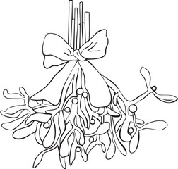 Mistletoe plant Christmas outline vector illustration Winter holidays Merry Christmas and New Year line art  Minimalistic hand drawn cute style 