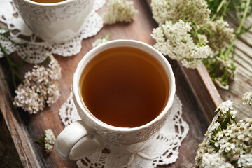 Herbal tea in a white ceramic cup with fresh yarrow or Achillea millefolium flowers