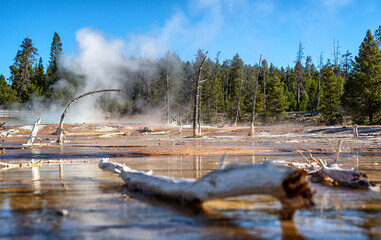 Yellowstone activity