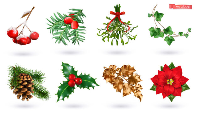 Christmas decorations. Rowan, yew, mistletoe, ivy, spruce, holly, poinsettia. 3d realistic vector set