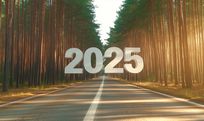 Biały duży napis nad drogą w lesie 2025 © Silent26