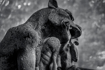 Fototapeta premium photograph of gargoyles of notre dam cathedral