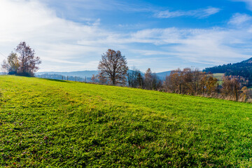 Jesień w górach, polana w Beskidzie Śląskim w Polsce. Piękna słoneczna pogoda z błękitnym niebem. © Franciszek