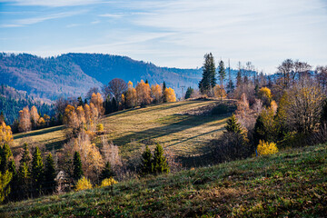 Jesień w górach, polana w Beskidzie Śląskim w Polsce. Piękna słoneczna pogoda z błękitnym niebem. © Franciszek