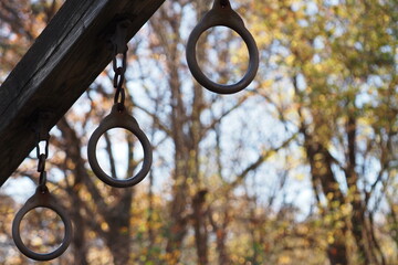 There are rings to climb on the path in the woods.