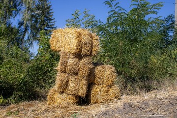 bales of straw on the edge of a field against the background of green bushes on a clear summer day