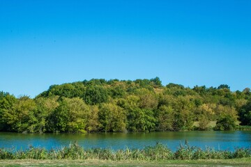 deciduous forest on the river bank on a clear summer day