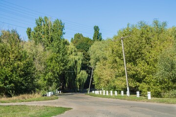 a road in the countryside on a clear day with large trees and white posts on the sides