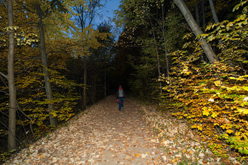 Person Walking Down an Autumn Forest Path at Dusk