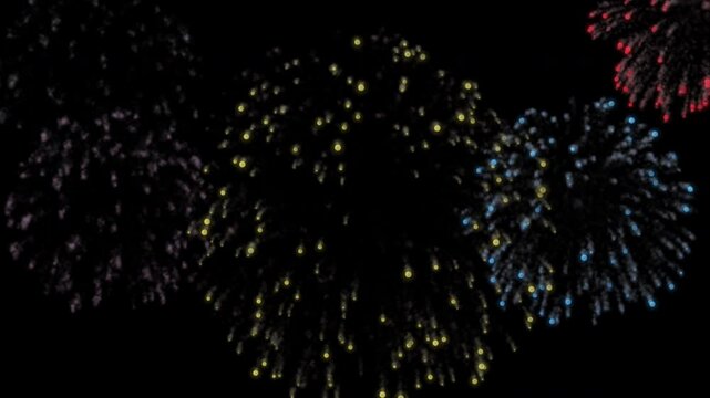 Colorful firework bursts explode in dark night sky.