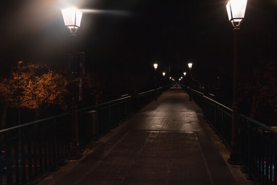 Various colors of autumn in Paris at the night.  Lighters on Senna embankment.