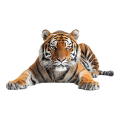 Obraz premium Stunning Endangered Species Banner on White Background