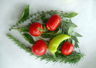 Freshly picked tomatoes and herbs on white background