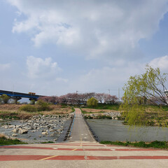전변을 가로지르는 한국의 자전거 도로
