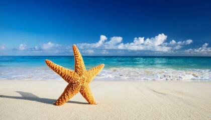 starfish on the summer beach summer background tropical sand beach