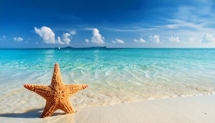 starfish on the sand beach in clear sea water summer background summer time copy space relaxing on the beach