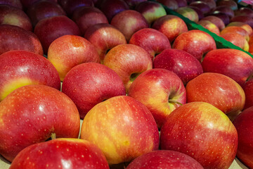 close-up of red organic apples