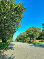 road in the suburbs