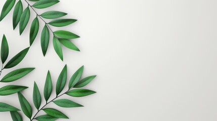 Fototapeta premium Enhance your product presentation with this natural shadow overlay on a crisp white texture background for stunning mockups.