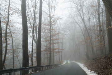 Foggy day on the road