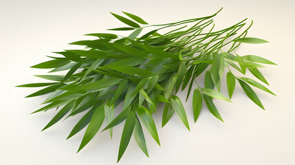 Fototapeta premium A bunch of green leafy branches against a white background.