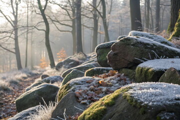 Obraz premium Frosty rocks in misty winter forest landscape