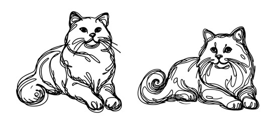 two cats sitting side by side, black and white illustration
