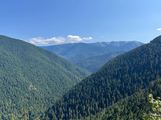 Obraz premium Mountains at Olympic National Park in Washington on a sunny day with clear skies. 