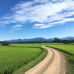 Fototapeta premium Scenic countryside dirt road curving through a vast green rice field, vibrant blue sky with gentle clouds, serene and open landscape, crisp and realistic details, morning sunlight, 