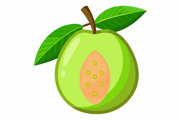 Guava on a white background vector art illustration