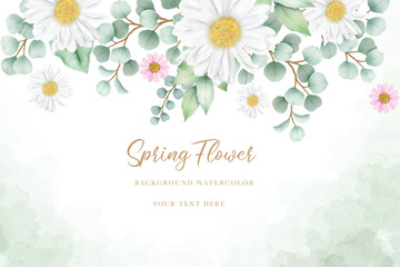 Hand drawn watercolor daisy flower background design