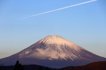 Fototapeta premium 富士山