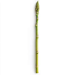 Naklejka premium A single green asparagus spear, isolated on a white background, emphasizing a fresh vegetable