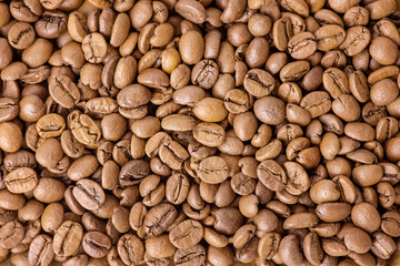 Roasted coffee beans as a background.