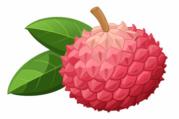  Delicious fresh lychee fruit isolated on white vector art illustration 