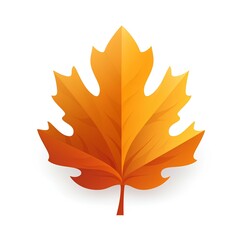 Obraz premium autumn maple leaf