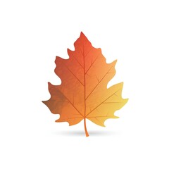 Fototapeta premium autumn maple leaf